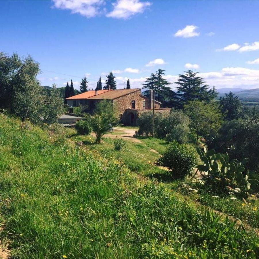 Podere Baloo Suvereto Extérieur photo